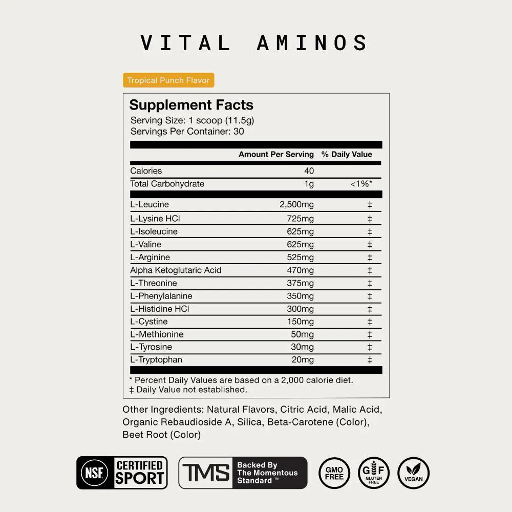 Momentous - Vital Aminos