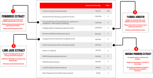 Enhanced Labs - Black Ox - Testosterone Booster - Animal Supps | Sports Nutrition & Supplement Store | Vineland, NJ