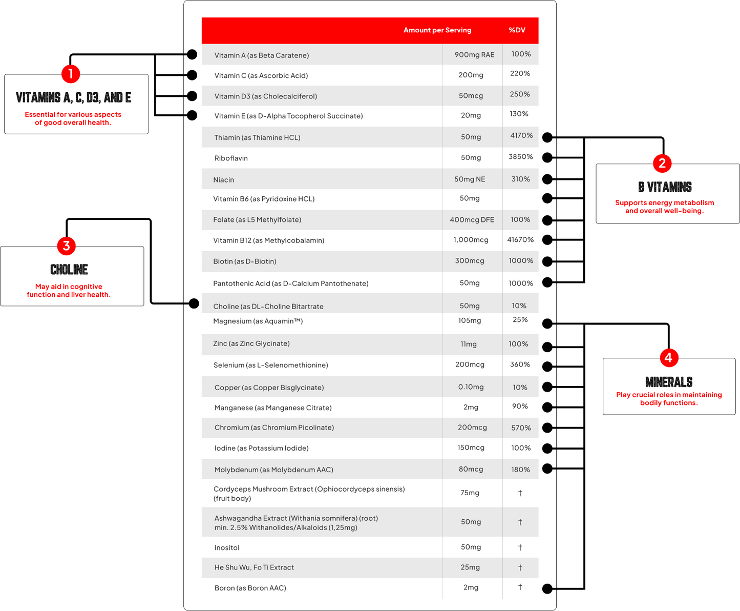 Enhanced Labs - Multi+ - Vitamin & Mineral - Animal Supps | Sports Nutrition & Supplement Store | Vineland, NJ