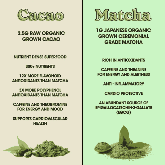 Fit & Lean - Cacao Matcha - Matcha - Animal Supps | Sports Nutrition & Supplement Store | Vineland, NJ