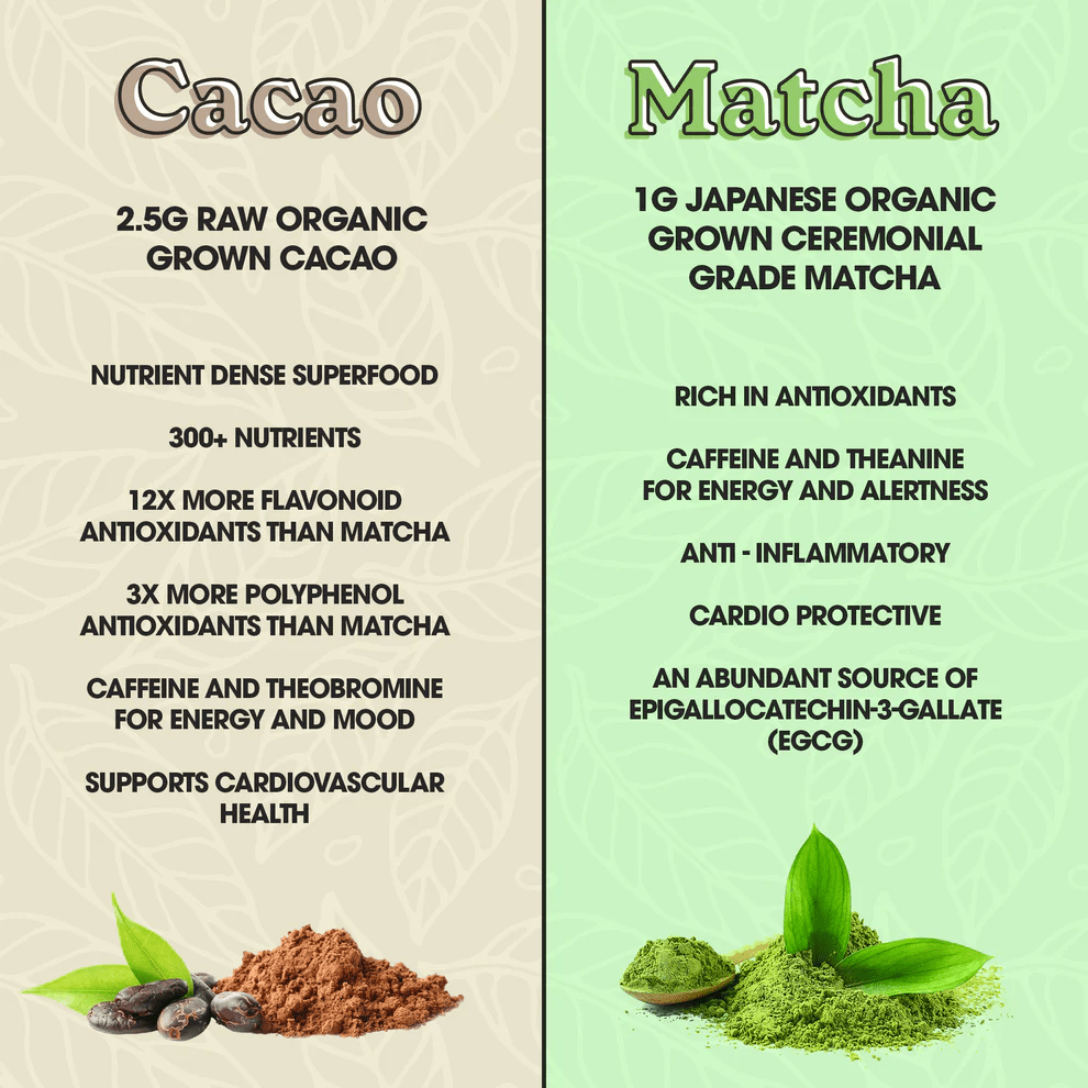 Fit & Lean - Cacao Matcha - Matcha - Animal Supps | Sports Nutrition & Supplement Store | Vineland, NJ