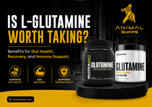 Is L-Glutamine Worth Taking? Benefits for Gut Health, Recovery, and Immune Support - Animal Supps | Supplement, Sports Nutrition, and Vitamin Shop | Vineland NJ