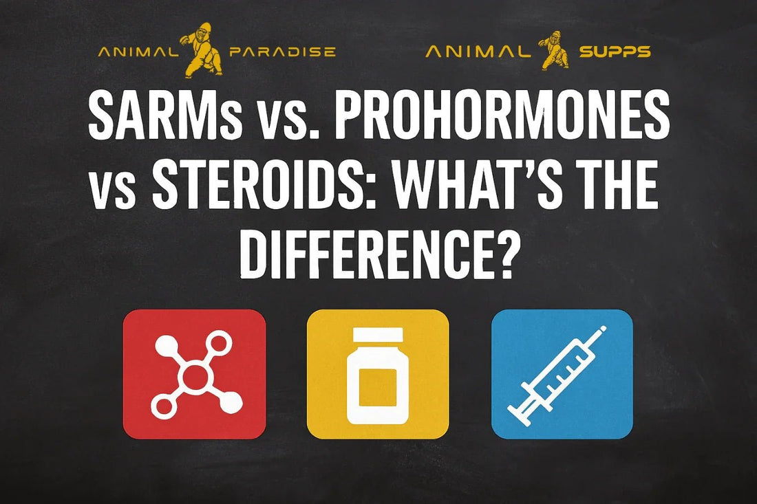 SARMs vs. Prohormones vs. Steroids: What’s the Difference? - Animal Supps | Sports Nutrition & Supplement Store | Vineland, NJ