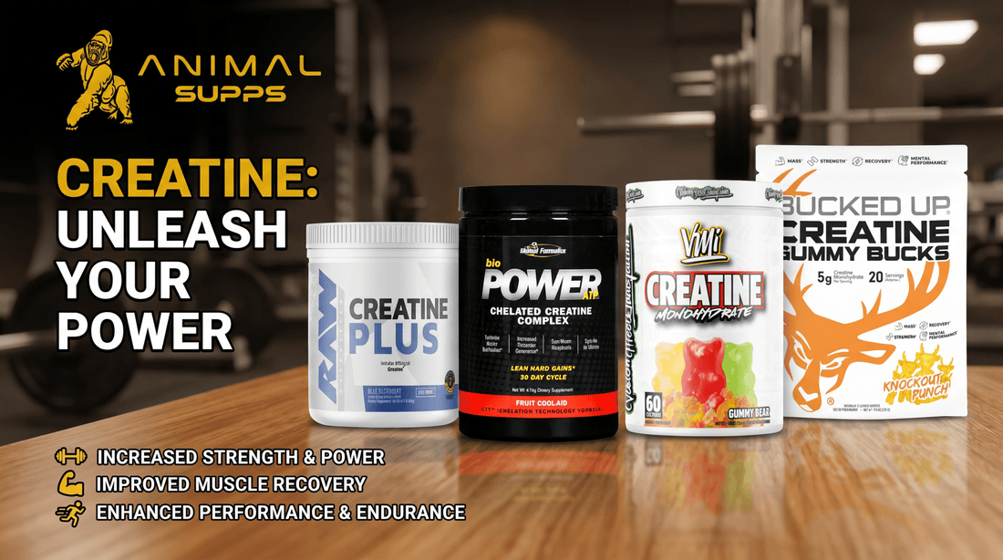 What Does Creatine Actually Do? Beginner Questions Answered - Animal Supps | Supplement, Sports Nutrition, and Vitamin Shop | Vineland NJ
