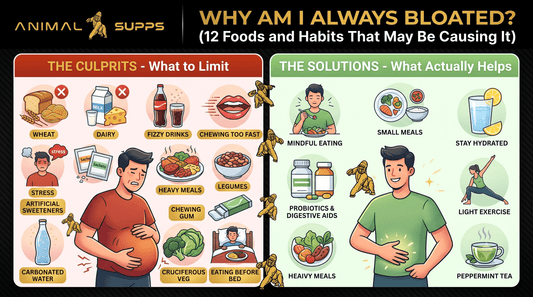 Why Am I Always Bloated? 12 Foods and Habits That May Be Causing It (And What Actually Helps) - Animal Supps | Supplement, Sports Nutrition, and Vitamin Shop | Vineland NJ