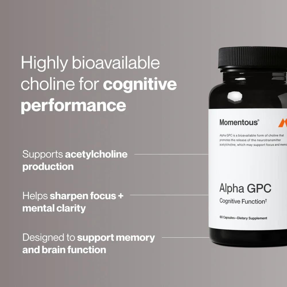 Alpha GPC - 60ct - Vitamin & Mineral -Animal Supps | Supplement, Sports Nutrition, and Vitamin Shop | Vineland NJ