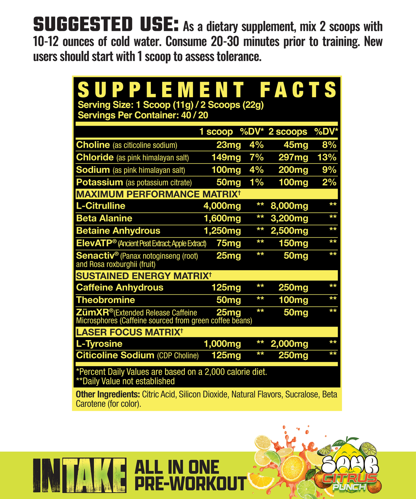 Axe & Sledge - Intake - Sour Citrus Punch 20/40serv - Pre - Workout - Animal Supps | Sports Nutrition & Supplement Store | Vineland, NJ