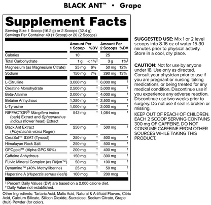 Bucked Up - Black Ant Pre - Citrus - Pre - Workout - Animal Supps | Sports Nutrition & Supplement Store | Vineland, NJ