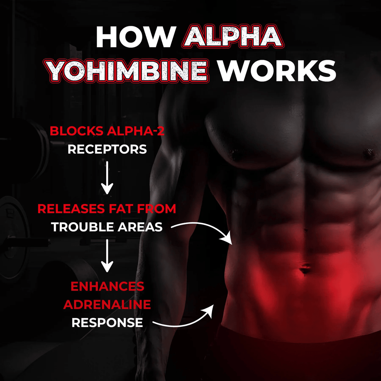 Enhanced Labs - Alpha Yohimbine - Fat Burner - Animal Supps | Supplement, Sports Nutrition, and Vitamin Shop | Vineland NJ