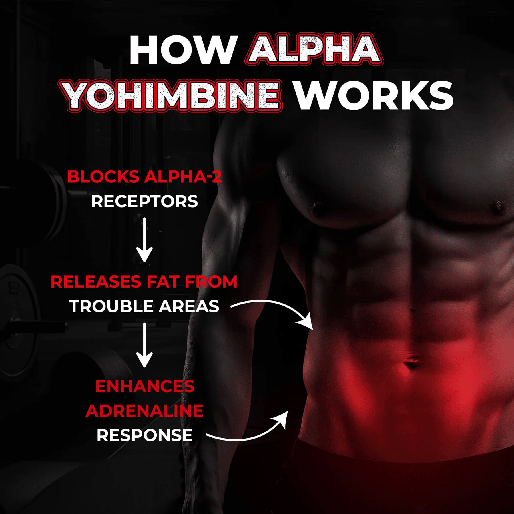 Enhanced Labs - Alpha Yohimbine - Fat Burner - Animal Supps | Supplement, Sports Nutrition, and Vitamin Shop | Vineland NJ