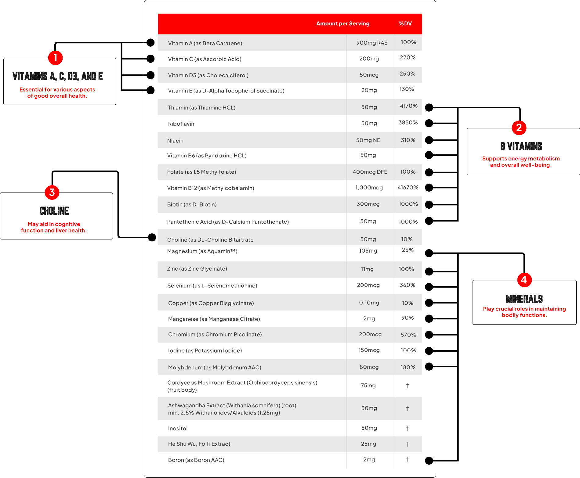 Enhanced Labs - Multi+ - Vitamin & Mineral - Animal Supps | Sports Nutrition & Supplement Store | Vineland, NJ