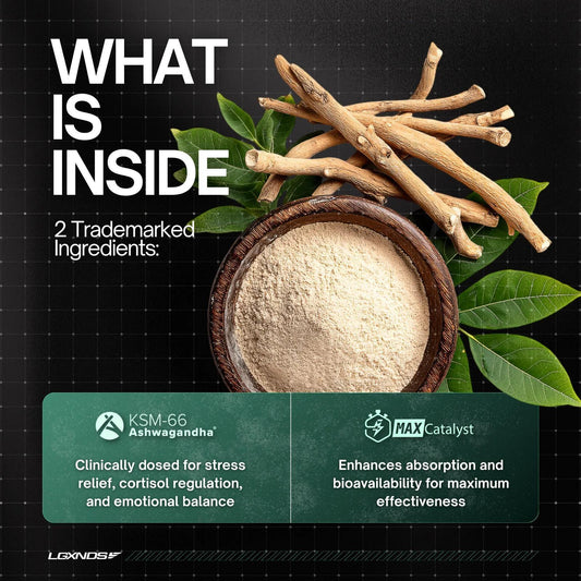 LGXNDS - Ashwagandha - 30serv - Creatine - Animal Supps | Supplement, Sports Nutrition, and Vitamin Shop | Vineland NJ