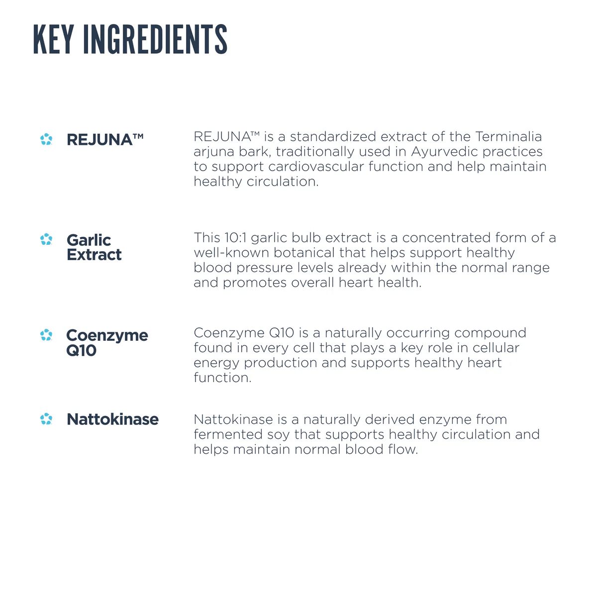 Revive - Blood Pressure - Vitamin & Mineral - Animal Supps | Supplement, Sports Nutrition, and Vitamin Shop | Vineland NJ